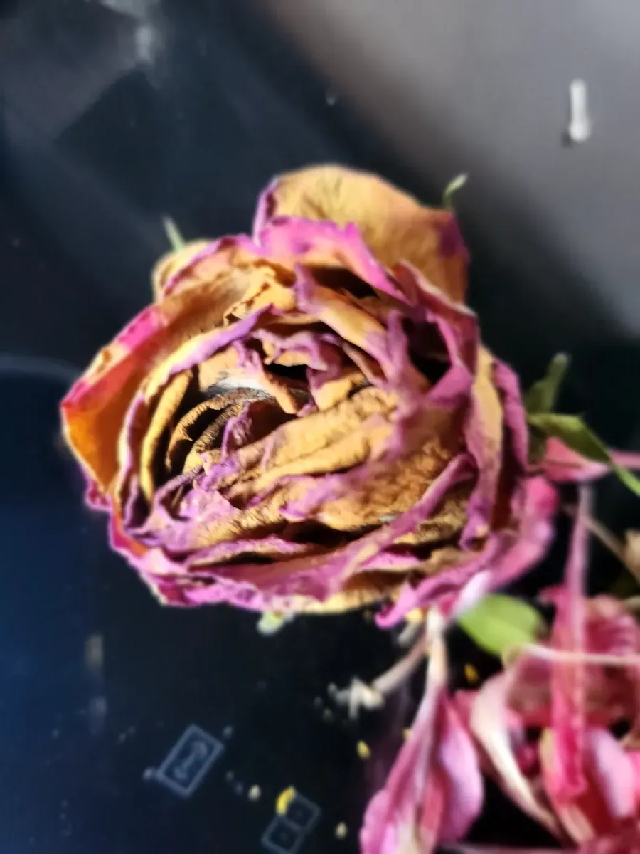 Decay 2024 Gallery Image 92